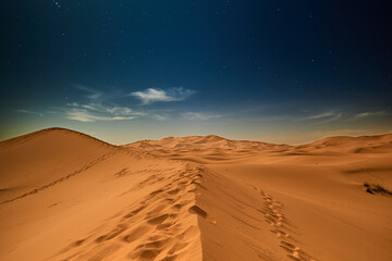 Fototapeta na wymiar Desert Night