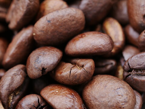 coffee beans background © Василь Федорів