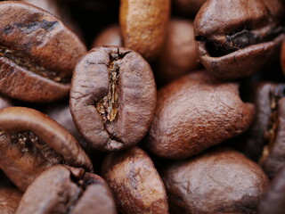 roasted coffee beans
