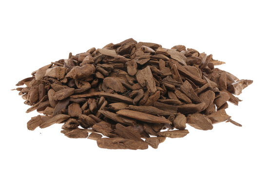 Selective Focus, Sticks Of Agar Wood Or Agarwood Background The Incense Chips Used By Burning for incense & perfumes of essential oil as Oud Or Bakhoor