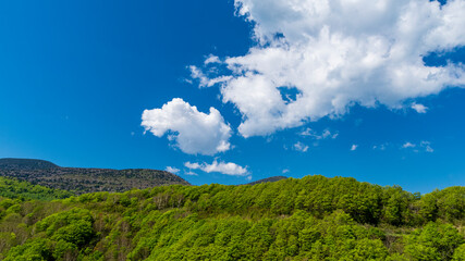 Fototapeta na wymiar 新緑の山と青空