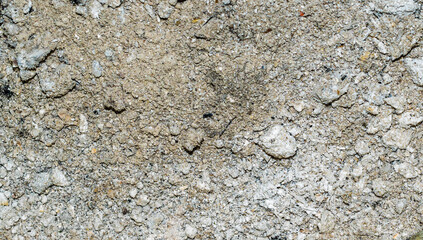 gray ash from deciduous trees texture or background