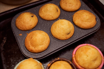 Homemade cupcakes with iron mold lie on a wooden plate