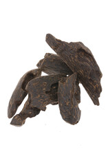 Selective Focus, Sticks Of Agar Wood Or Agarwood Background The Incense Chips Used By Burning for incense & perfumes of essential oil as Oud Or Bakhoor