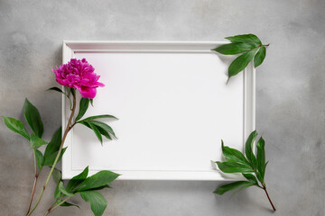 empty white photo frame, colorful purple peony and green leaves. seasonal natural border for summer and spring. gray concrete background. top view