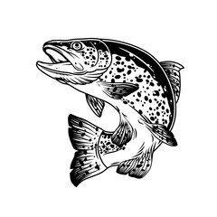 Jumping trout fish vintage template - obrazy, fototapety, plakaty