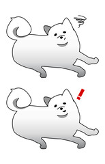 ふわふわ　秋田犬