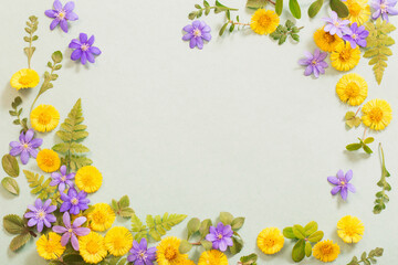 spring yellow and violet  flowers on paper background
