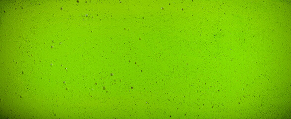 Green painted wall texture. Panoramic green wall background