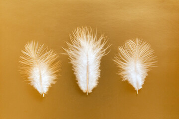 Three white feathers on the golden background.