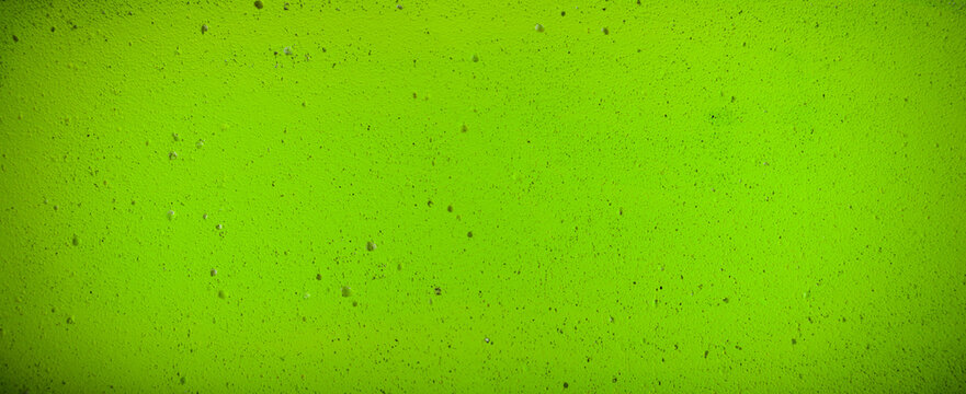 Green painted wall texture. Panoramic green wall background
