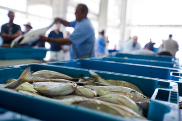 pez, subasta, pescadores, mercado 