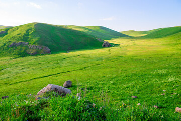 beautiful summer landscape, the endless valley of Armenia, covered with lush green grass
