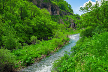 Current river with mountain water in the mountains of Armenia among green trees