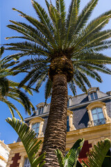 Fototapeta premium Urban architecture, city skyscraper, downtown. Vacation, holiday. Scenic travel background. View scene. Biarritz beach city.