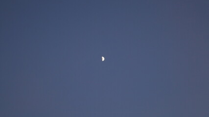 moon in the sky