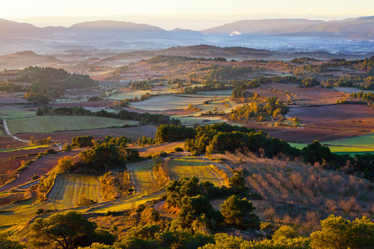 paisaje, conca de barber&agrave;, tarragona 