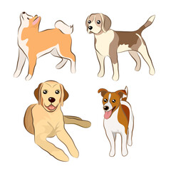 Funny cartoon dogs characters different breeds vector illustration