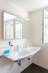 Fototapeta na wymiar clean and bright modern bathroom with cleaning supplies on the sink