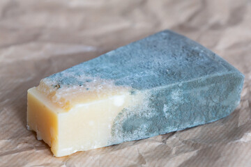 spoiled hard cheese with mold