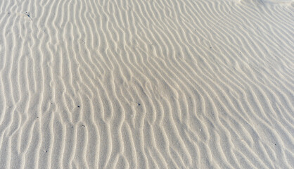 FONDO DE ARENA EN LA PLAYA