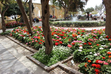 Fototapeta na wymiar Parterre de fleurs, jardins d'Upper Barrakka à La Valette, Malte au printemps