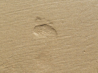 Beautiful beach with clean waters and sparkling sand