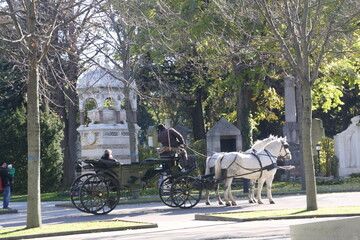 Dorozka na cmentarzu Wieden © Bogdan B