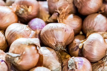 pile of small onions at the market