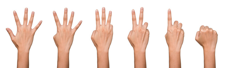 Hand isolated banner: Back Hand displays counting of numbers by using fingers which start from five to zero on white background and seperated clipping path