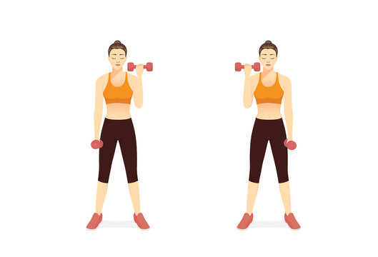 Sport Women doing Fitness with the dumbbell curl in left and right arm. Illustration about Build Muscle and Boost metabolism with Weighted Workout. target to bicep muscles.