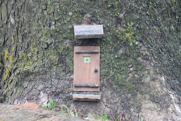 Fairy house, Fairy door, wood, tree, bark, green, nature, grass, bark, texture, door, house, rock, small house, waterfall, plants