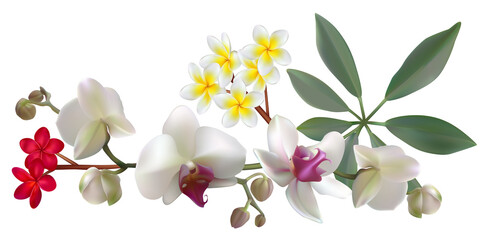 Fototapeta premium Tropical flowers. Orchids. Floral background. Green leaves. Plumeria Frangipani. Exotic plants. Pattern. Red. White.