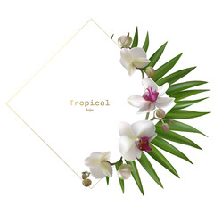 Tropical flowers. Orchids. Floral background. Palm leaves. Exotic plants. Pattern. Petals. White.
