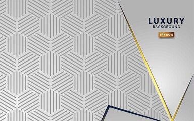 modern white abstract future background banner design with hexagon lines textures.