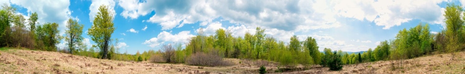 Obraz premium Beautiful rural summer landscape with forest, blue sky and white clouds, panorama. spring landscape with panoramic views of meadow and mountains