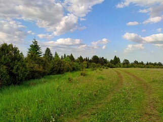 Obraz premium country road on top of a hill near a forest plantation against a blue sky with beautiful clouds