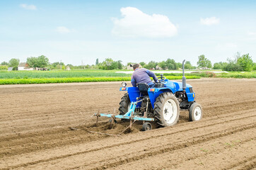 Farmer on a tractor with a cultivator processes a farm field. Soil preparation, cutting of rows for...