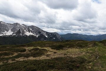 Una bellissima camminata nei pressi di Cason di Lanza