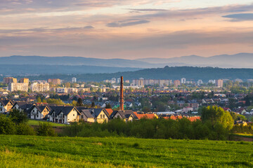 krajobraz, zielonki, pola i uprawy © Tomasz