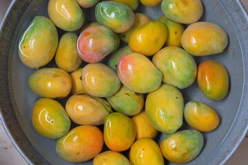mangoes