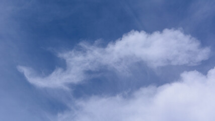 propitious beautiful cloud like phoenix