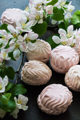 Delicious pink and white marshmallows on the table along with a blossoming branch of apple tree. Sweets.
