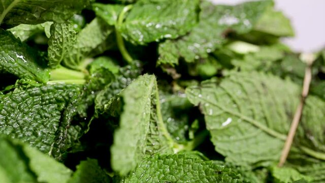 Hojas de menta frescas preparadas para comer saludable