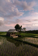 Jatiluwih rice terraces in Bali at sunrise, Indonesia