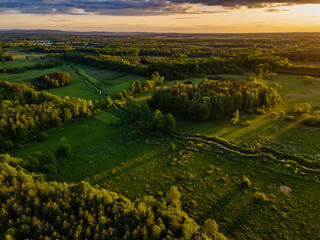 aerial view of a forest