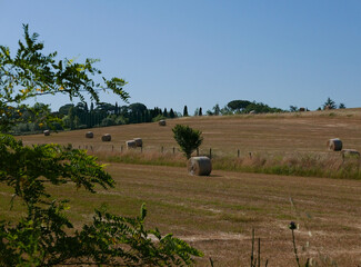 Fototapeta premium sereno e idilliaco panorama bucolico con balle di fieno nei campi