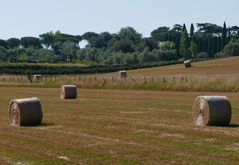 sereno e idilliaco panorama bucolico con balle di fieno nei campi