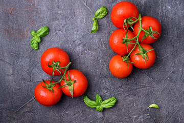 Fresh tomatoes with basil on black background. Copy space, top view.
