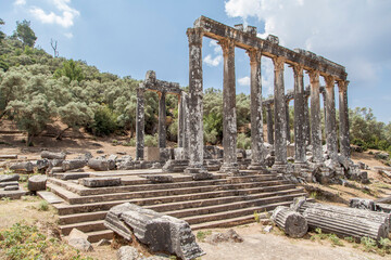 Temple of Zeus in Euromos, Milas, Bodrum, Turkey.